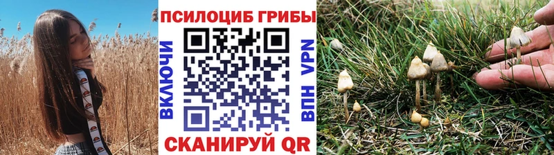 Галлюциногенные грибы мицелий  Павловская 